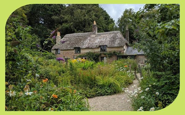 An English cottage with a lush cottage garden full of deer-resistant perennials