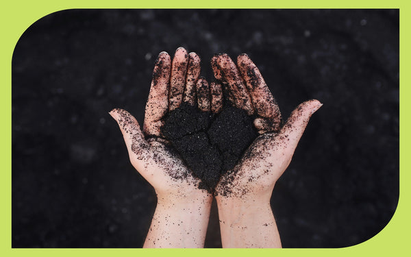 Two cupped hands holding rich dark compost for amending garden soil