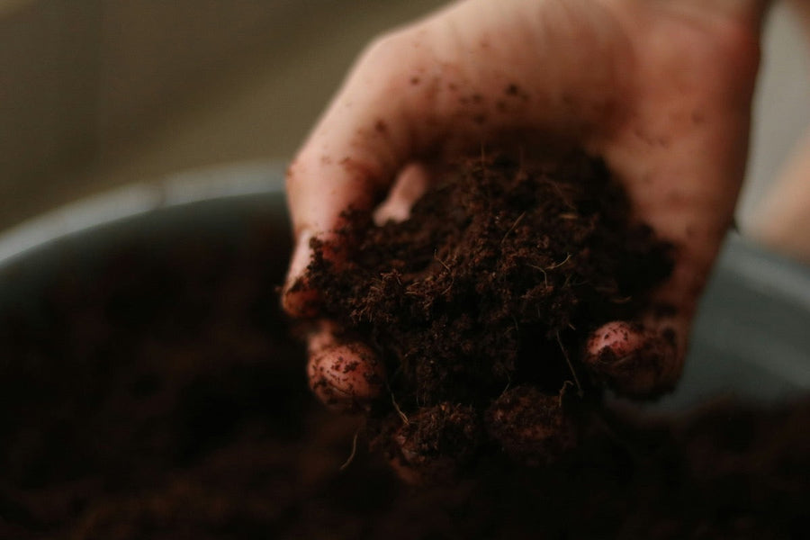 Soil & Amendments