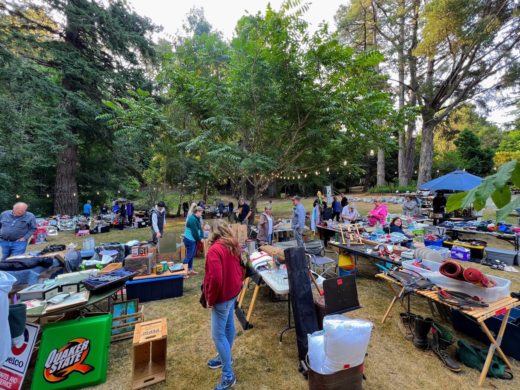 Communtiy Yard Sale at Dragonfly Farm