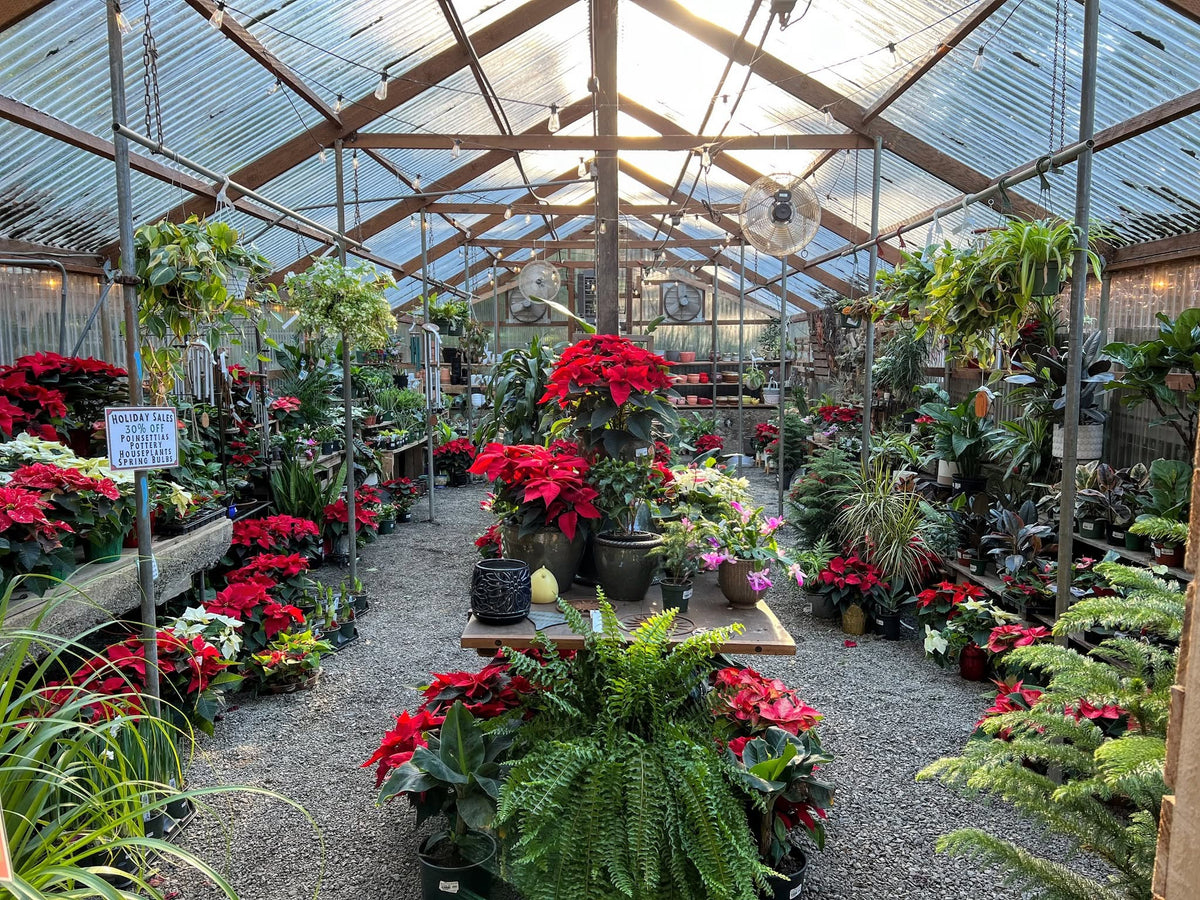 Holiday Open House & Customer Appreciation Weekend at our Langlois Location