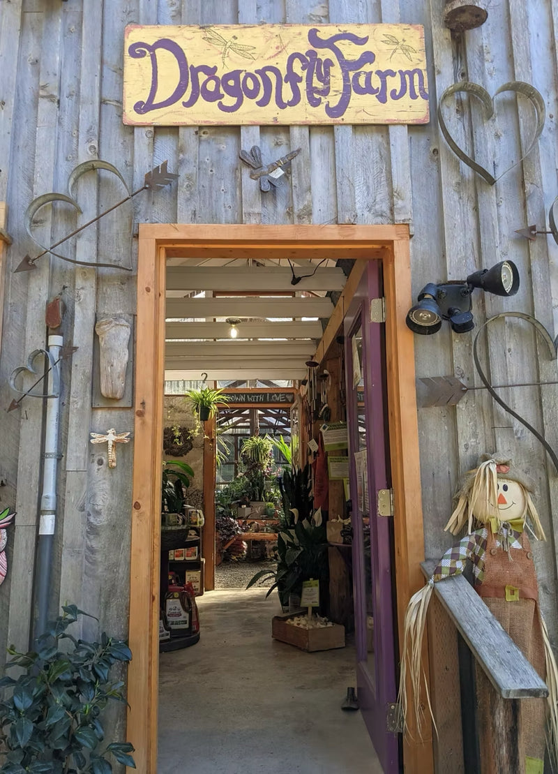 Dragonfly Farm & Nursery entrance on Highway 101 in Langlois, Oregon