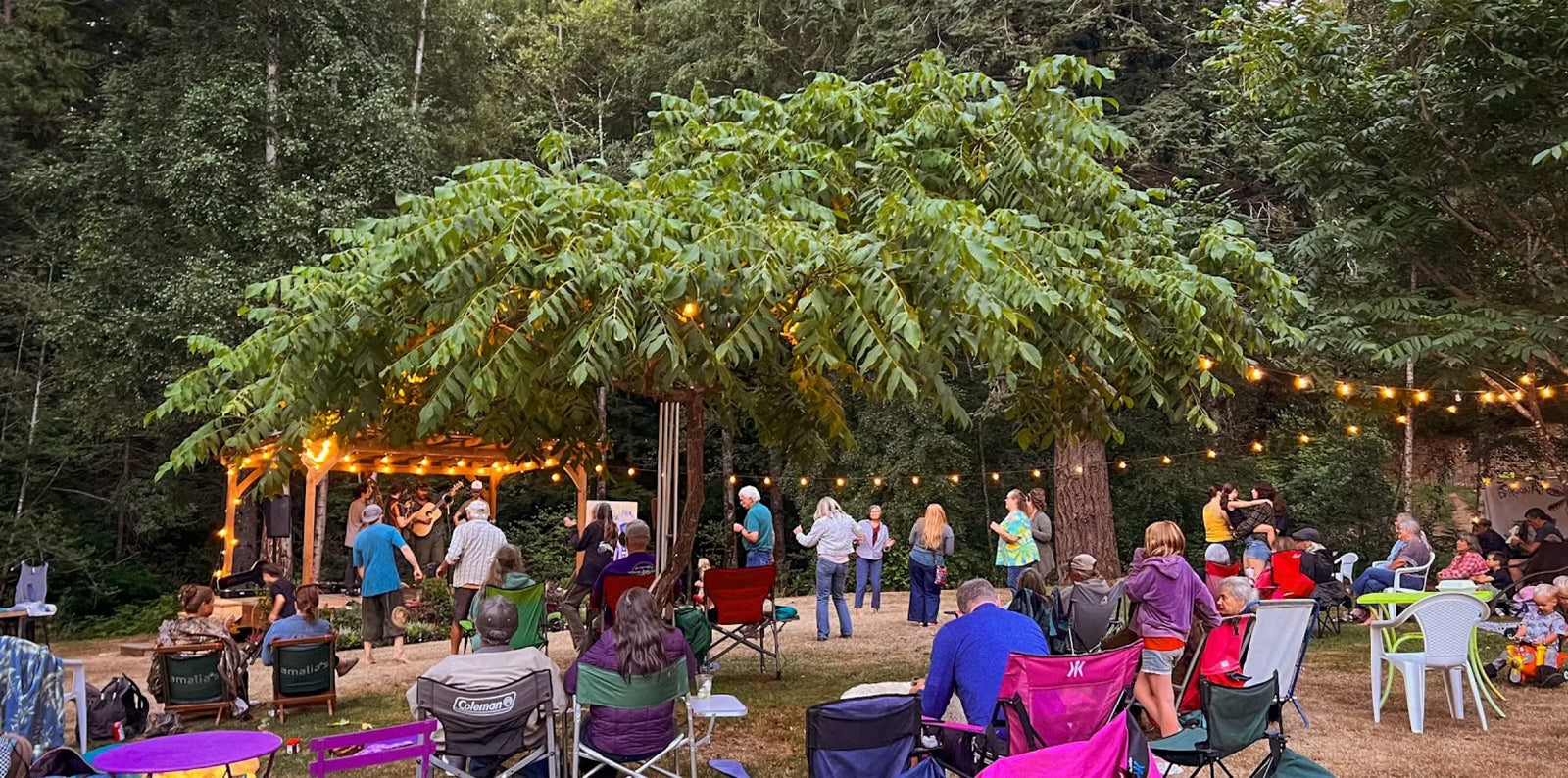 Evening event at Dragonfly Farm with string lights in the garden