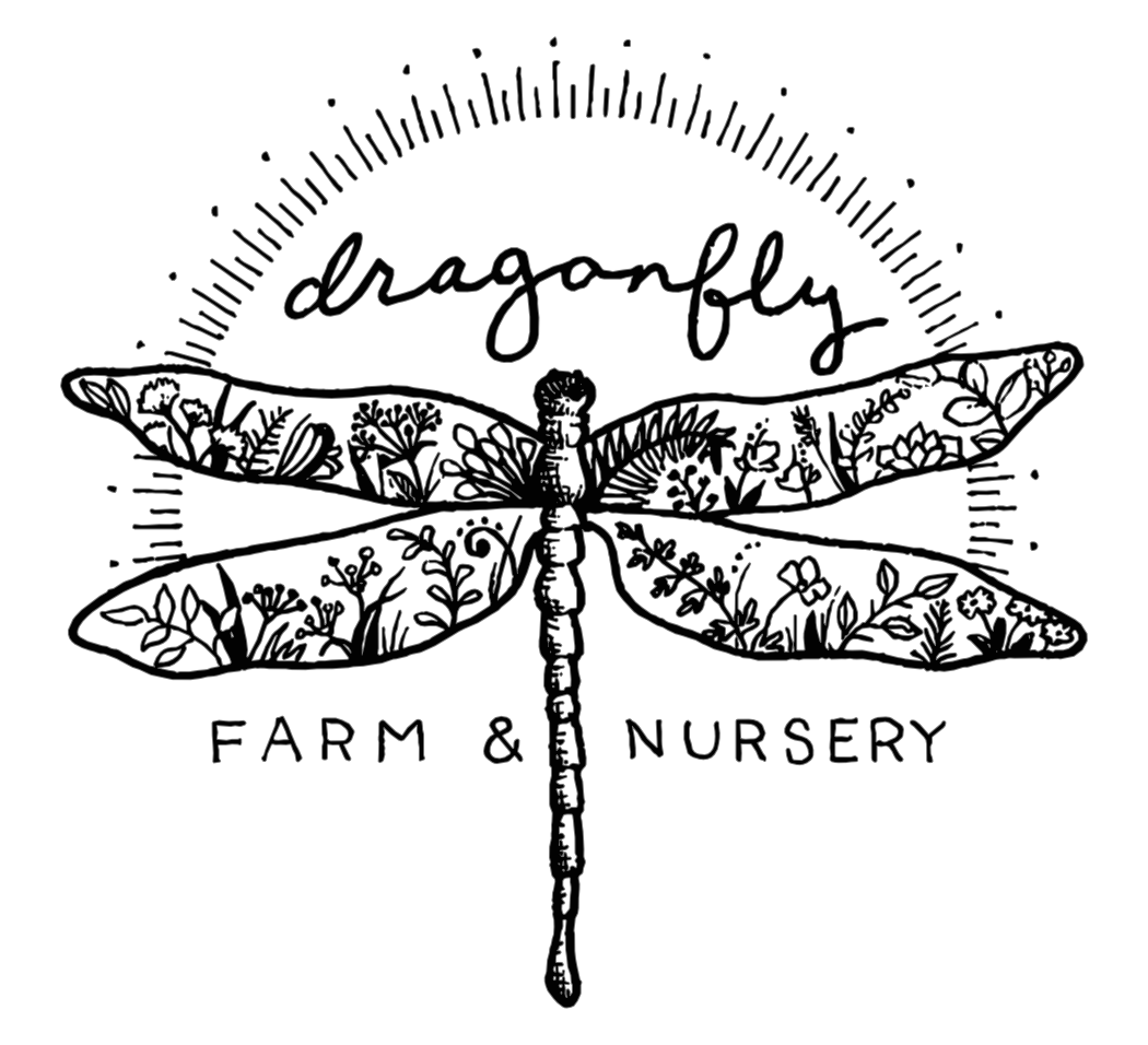 Dragonfly Farm & Nursery logo