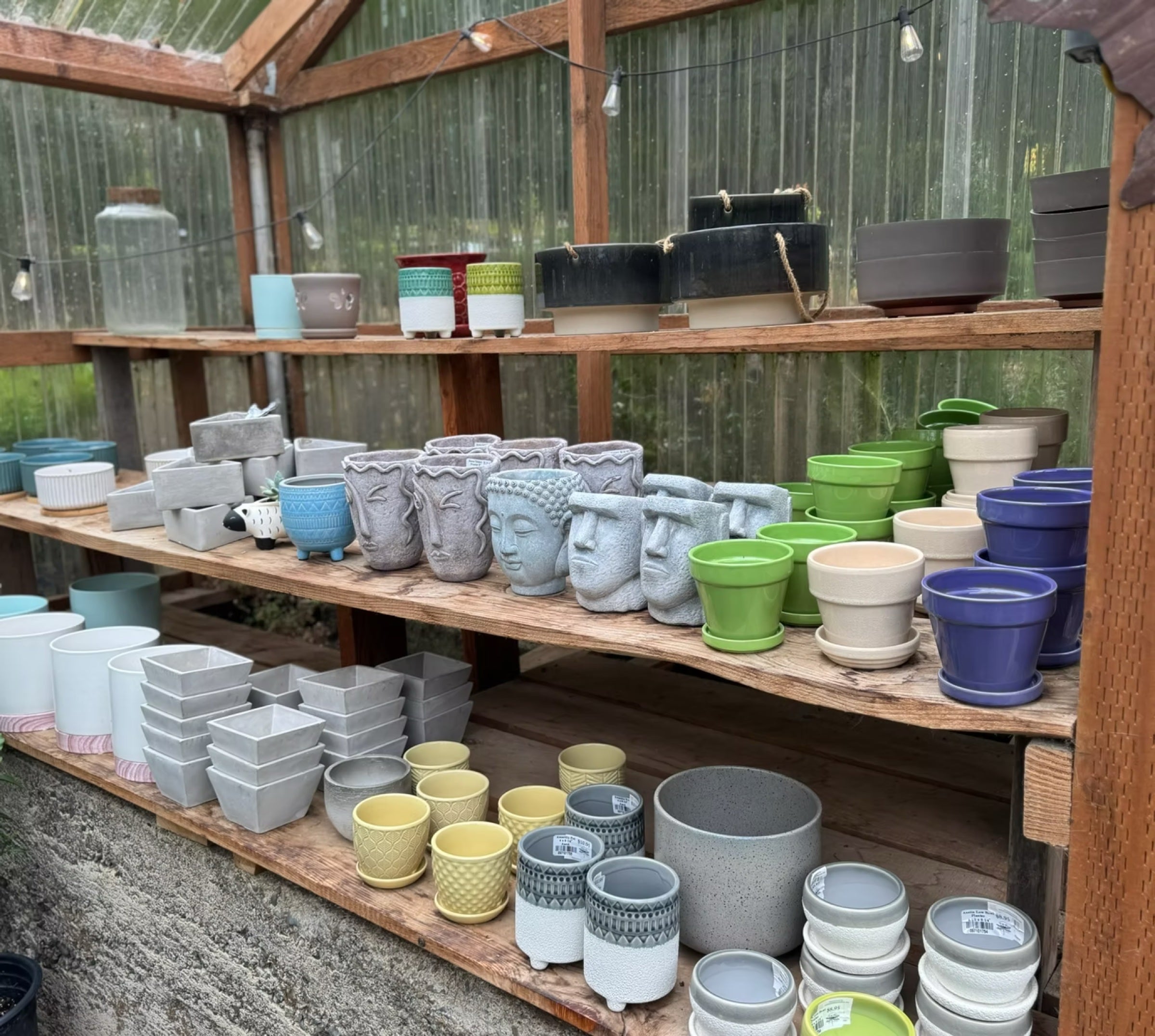 Plant pots and pottery in the Dragonfly Farm gift shop